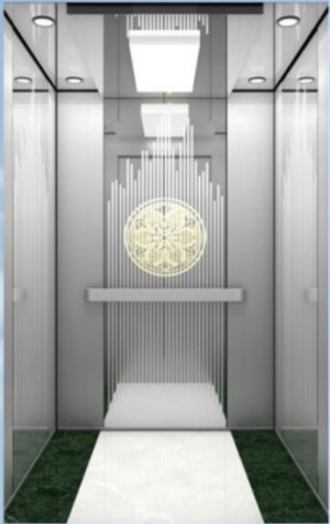 China Manufacturer Hotel building passenger small elevators homes