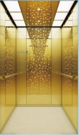 luxury decoration cabin office passenger elevator for 6 person