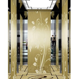 Professional Passenger Elevator with Advanced Japan Technology