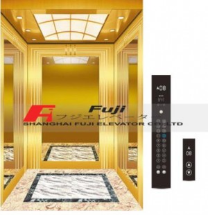 New Arrival China China FUJI Brand 6 Persons 450kg 1.6m/S Golden Titanium Stainless Steel Mirror Etching Home Panoramic Villa Passenger Elevator with Vvvf Monarch Control