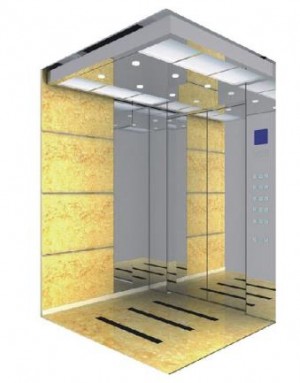 Shanghai Fuji Standard Configuration Passenger Elevator(Hd-Djt01)