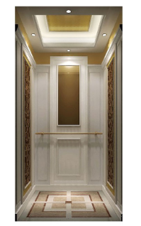 Cheap Small Home Residential Lift Elevator Price