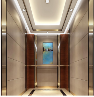 Customized cheap passenger elevator residential vvvf small home lift elevator