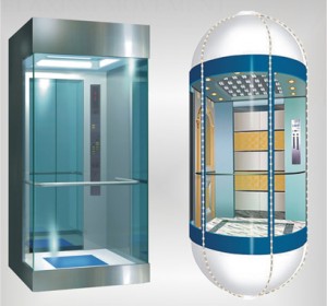 FUJI Observation Elevator Lift with economic Price